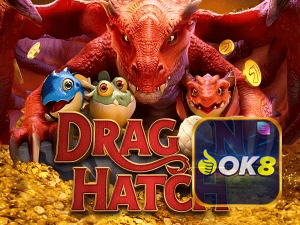 OK8 PIX instantâneo Brasil - Depósito e saque em minutos 24/7
